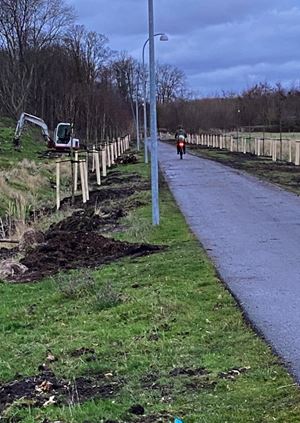 Nyplantning på Vestvolden 